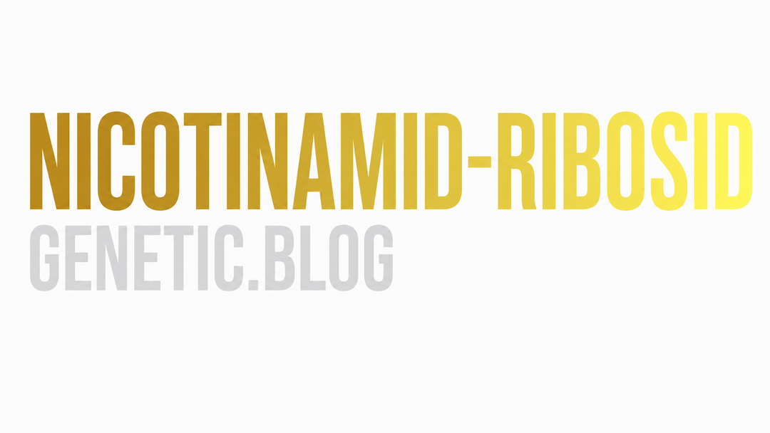 Nicotinamid-Ribosid – Wirkung auf NAD+, Zellenergie und Healthy Aging