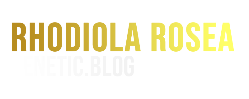 Rhodiola Rosea – Das kraftvolle Adaptogen gegen Stress, Müdigkeit und mentale Erschöpfung